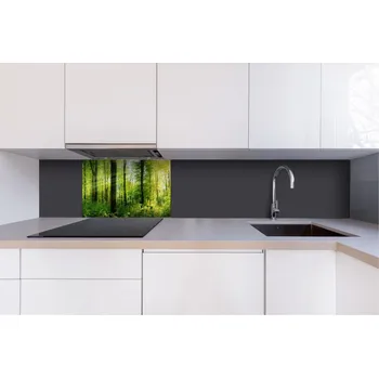Obklad DIMEX | Dibond za kuchyňskou linku DBW-06040-133 | 60 x 40 cm | Svěží les + Dibond deska za kuchyňskou linku DIMEX v rozměru 60 x 40 cm, motiv Svěží lesv rozměru