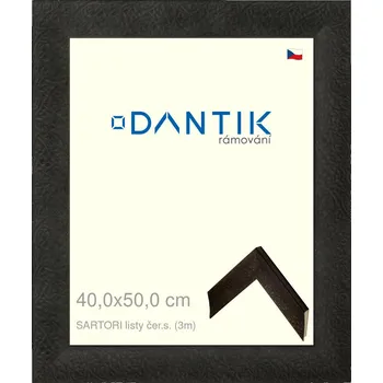 Rám na obraz DANTIK rámeček 40x50 | SARTORI listy čer.s. (Sklo Čiré) (Vyrobeno s láskou u nás v DANTIKU)