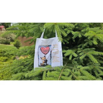 Nelly Taška pro učitele a učitelky - liška bystrouška