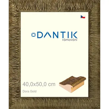 Rám na obraz DANTIK rámeček 40x50 | Dora Gold (Plexi Čiré) (Vyrobeno s láskou u nás v DANTIKU)