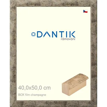 Rám na obraz DANTIK rámeček 40x50 | BOX film champagne (Plexi Čiré) (Vyrobeno s láskou u nás v DANTIKU)