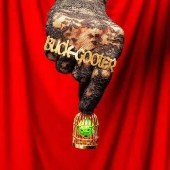 Zahraniční hudba LP Buck Gooter: Head In A Bird Cage LTD 2021 Limited Edition Vinyl