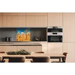 DIMEX | Dibond za kuchyňskou linku DBW-06060-011 | 60 x 60 cm | Pole pšenice + Dibond deska za kuchyňskou linku DIMEX v rozměru 60 x 60 cm, motiv Pole pšenice