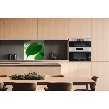 Obklad DIMEX | Dibond za kuchyňskou linku DBW-06060-010 | 60 x 60 cm | Zelené listy + Dibond deska za kuchyňskou linku DIMEX v rozměru 60 x 60 cm, motiv Zelené listy