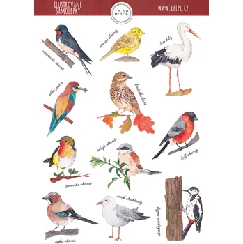 Samolepící dekorace ePipí Arch samolepek Ptáčci A6 11 samolepek