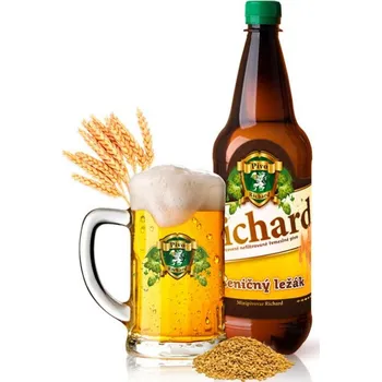 Pivo Ogar 11% světlý ležák - Kunčický pivovar 1L