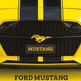 Obrázek k inzerátu: Ford Mustang (Ing. Alois Pavlůsek)