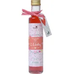 Naturprodukt Sirup z lásky