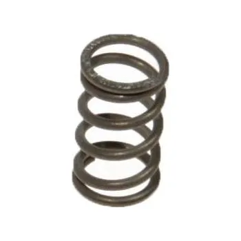 Náhradní díl pro kávovar Pružina Delonghi 6113210201