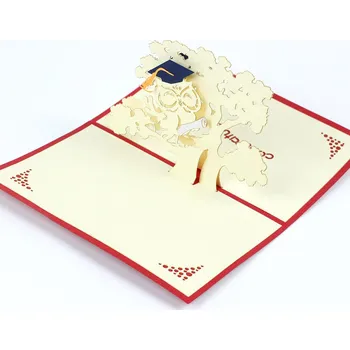 3D přání k vysokoškolské promoci 10 x 15 cm červené