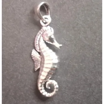 Přívěsek Mořský koníček - stříbrný přívěsek Stříbrný