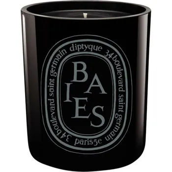 Svíčka Diptyque Baies,