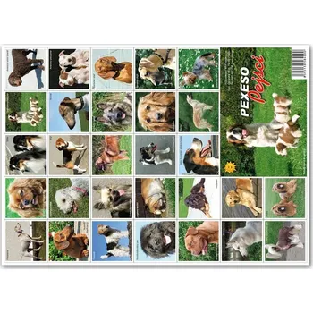 Pexeso PEXESO PEJSCI