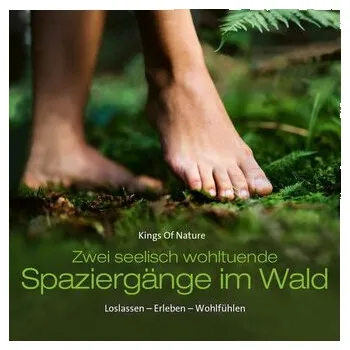 Spaziergänge Im Wald