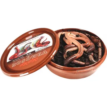 LIWI KANADSKÁ ROUSNICE 10KS