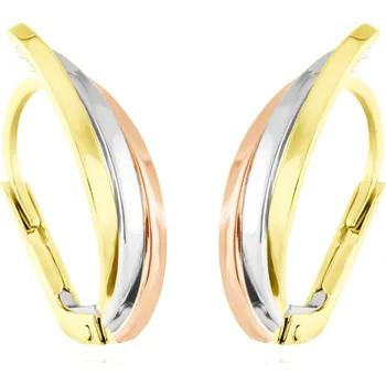 Náušnice GEMMAX GLECN-02200 Zlatá