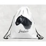 Domovi Taška na přezůvky se jménem Jaguár 30 x 39,5 cm