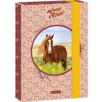 desky na sešit Ars Una Box na sešity My Sweet Horse A5