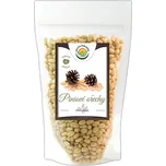 Salvia Paradise Piniové ořechy (100 g) - doprava zdarma od 2 500 Kč