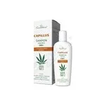 Cannaderm Capillus seborea šampon CBD+ 150ml