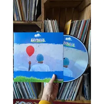 Zahraniční hudba LP Kota The Friend: Anything. 2023 Picture Disc Vinyl