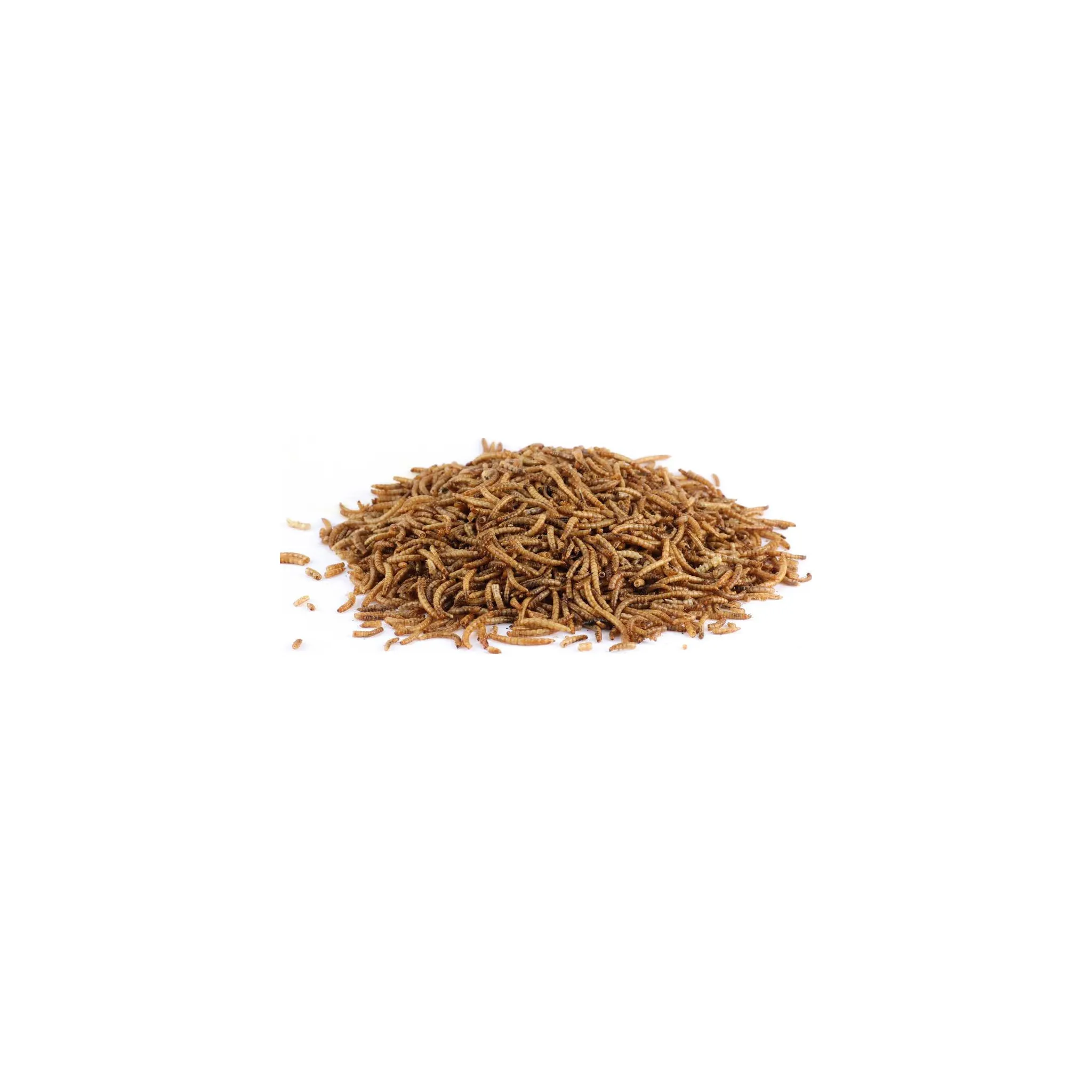 Fotografie 2 - Krmivo pro ptáka UGF Sušení mouční červi 1 kg