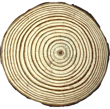 Creatissimo - přírodní dřevěné kolečko s kůrou 10 cm