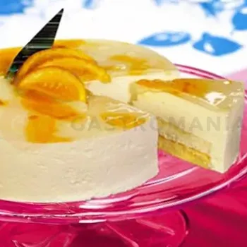 Farmaceutická surovina Stabilizátor šlehačky s příchutí tvarohu 0,5 kg | ZEELANDIA, Zeesan Sernikowy