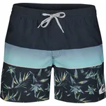 Quiksilver Hide palm koupací kraťasy - 0 - modrá - S