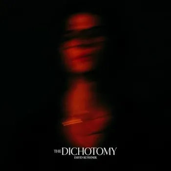 Zahraniční hudba David Kushner - Dichotomy (CD, 2290264)