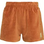 Dámské kraťasy Billabong CHILL SHORTS L Hnědá