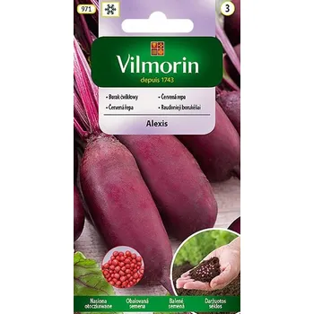 Semeno Červená řepa Alexis (obalovaná semena)