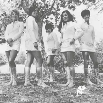 Zahraniční hudba LP Female Species: Tale Of My Lost Love CLR 2022 Coloured Silver Moonshine Vinyl