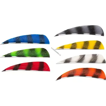 Buck Trail ROUND RW BARRED Feather 3" (Křidélko Buck Trail ROUND RW BARRED Peří 3")