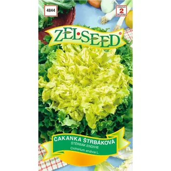 Semeno Semena - ČEKANKA ŠTRBÁKOVÁ ´MOSS CURLED´