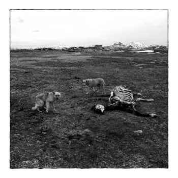 Zahraniční hudba LP Bronson Arm: Bronson Arm 2024