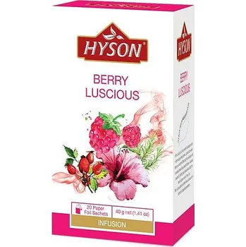 Čaj Hyson Berry Luscious, ovocný čaj (20 sáčků)