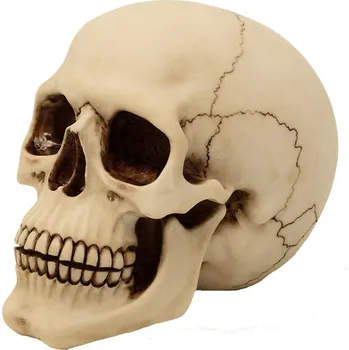 MystiCalls Realistická lidská lebka 15 cm