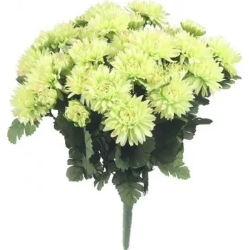 umělá květina Kytice minichyrizantém 39 cm, zelená