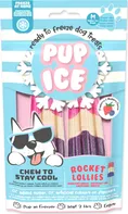 Pup Ice Chladicí pochoutka zmrzlina pro psy jahoda/borůvka 2 ks 90 g