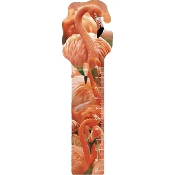 pravítka Impap Pravítko 10 cm 3D obrázek s násobilkou - 095 plameňák