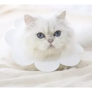 Obojek pro psa Měkký ochranný obojek pro zvířata - bílá, velikost L