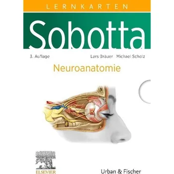 Sobotta Lernkarten Neuroanatomie - Bräuer, Lars