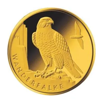 20 Euro zlatá mince Heimische Vögel - Wanderfalke 2019 (J)