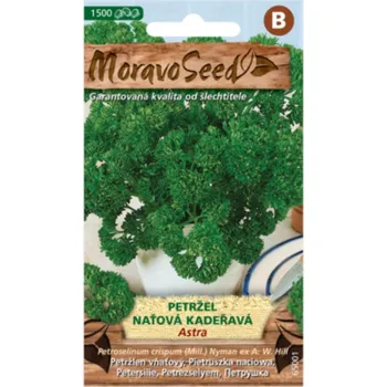 Semeno Petržel naťová kadeřavá ASTRA 65001