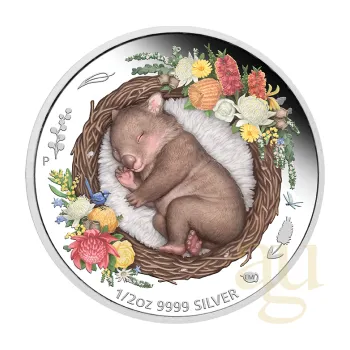 1/2 unce stříbrná mince Austrálie Dreaming Down Under - Wombat 2021 - proof color
