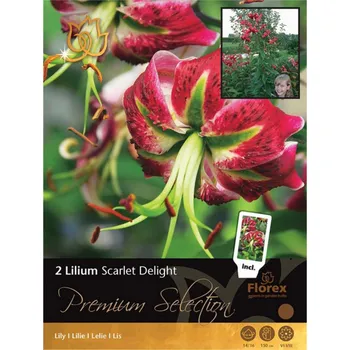 Semeno Lilium SCARLET DELIGHT 2ks