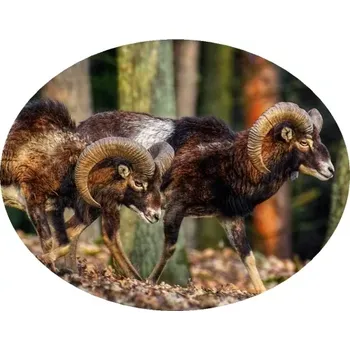 Nášivka Nažehlovačka myslivecká muflon II (digitální nažehlovačka pro myslivce)