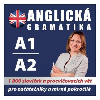 Anglická gramatika 1 - koletiv autorů