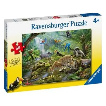 Puzzle Ravensburger Puzzle - Obdivovatelé deštného pralesa 60 dílků